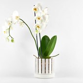 vaso-orchidee-orchitop-scoop-ambiente-05.jpg