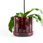 vaso-orchidee-orchitop-scoop-ambiente-10.jpg