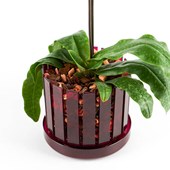 vaso-orchidee-orchitop-scoop-ambiente-11.jpg