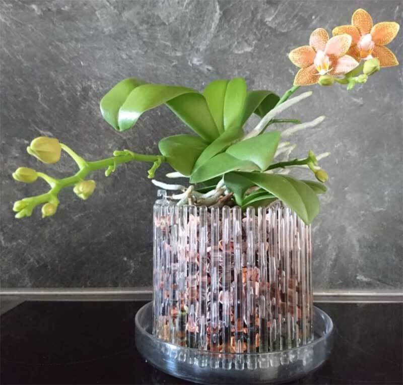 Vaso e sottovaso per orchidee M colore grigio