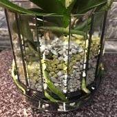substrato-orchidee-colomi-vaso-orchitop-scoop-02.jpg