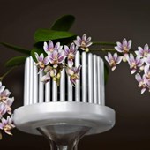 vaso-orchitop-small-bianco-perlato.jpg