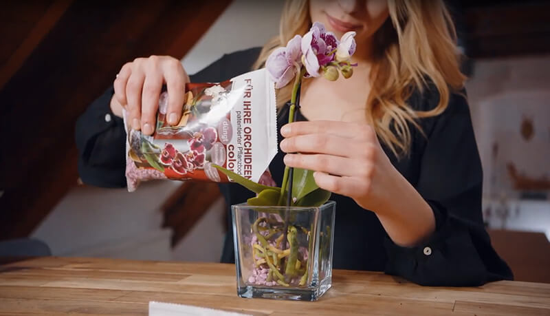 Video Colomi, il substrato per orchidee e piante ornamentali