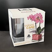 vaso-colomi-care-confezione.jpg