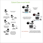 istruzioni-vaso-colomi-care-italiano.jpg